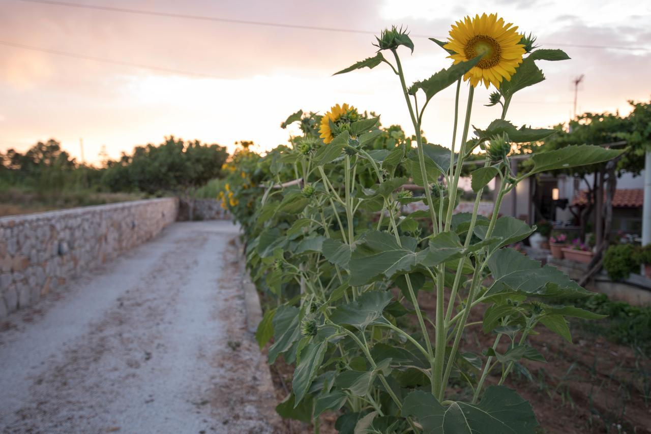 Electra Studios Gerani (Chania) Exterior foto
